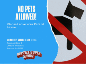 No pets allowed