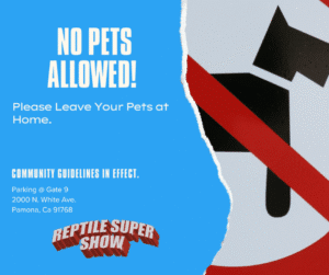 No Pets Allowed