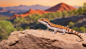 gecko habitat range
